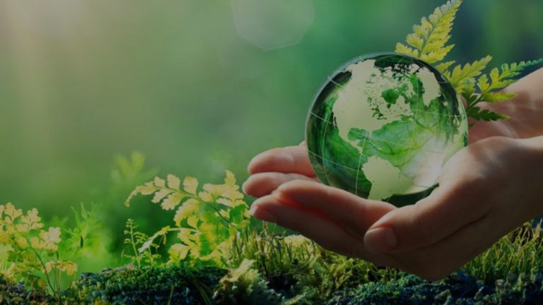 Sustainability Reporting and Solution provider